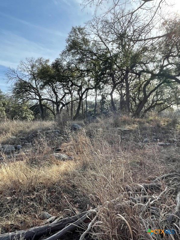2208 Sierra Madre Property Photo 9