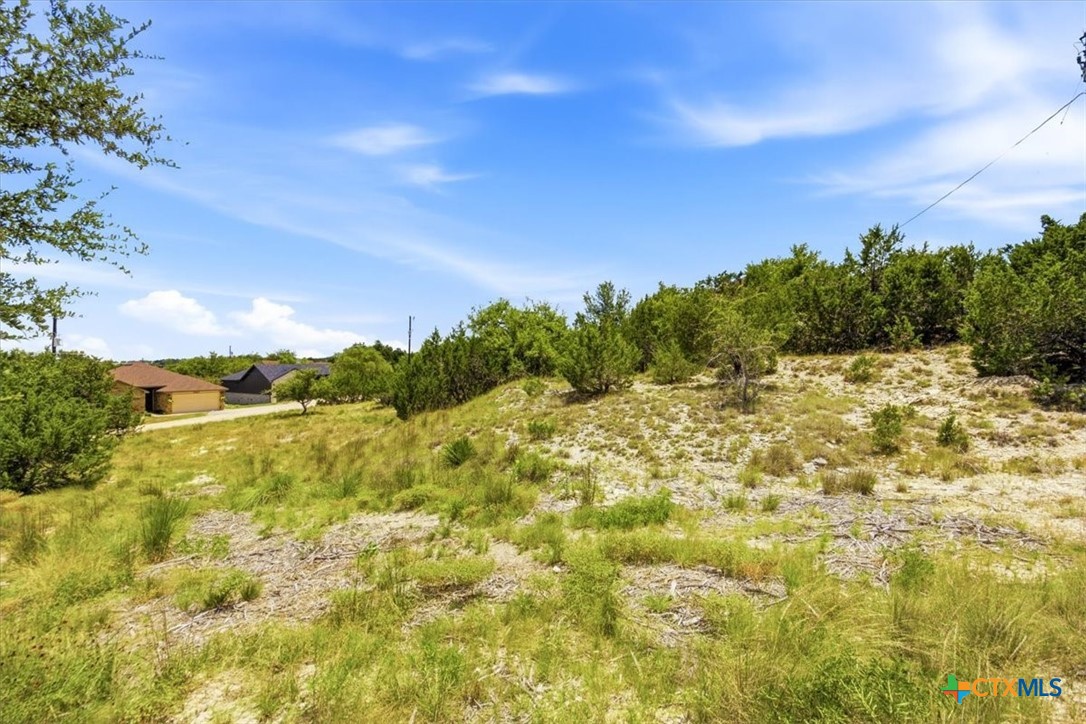 10803 Lake Park Drive Property Photo 25