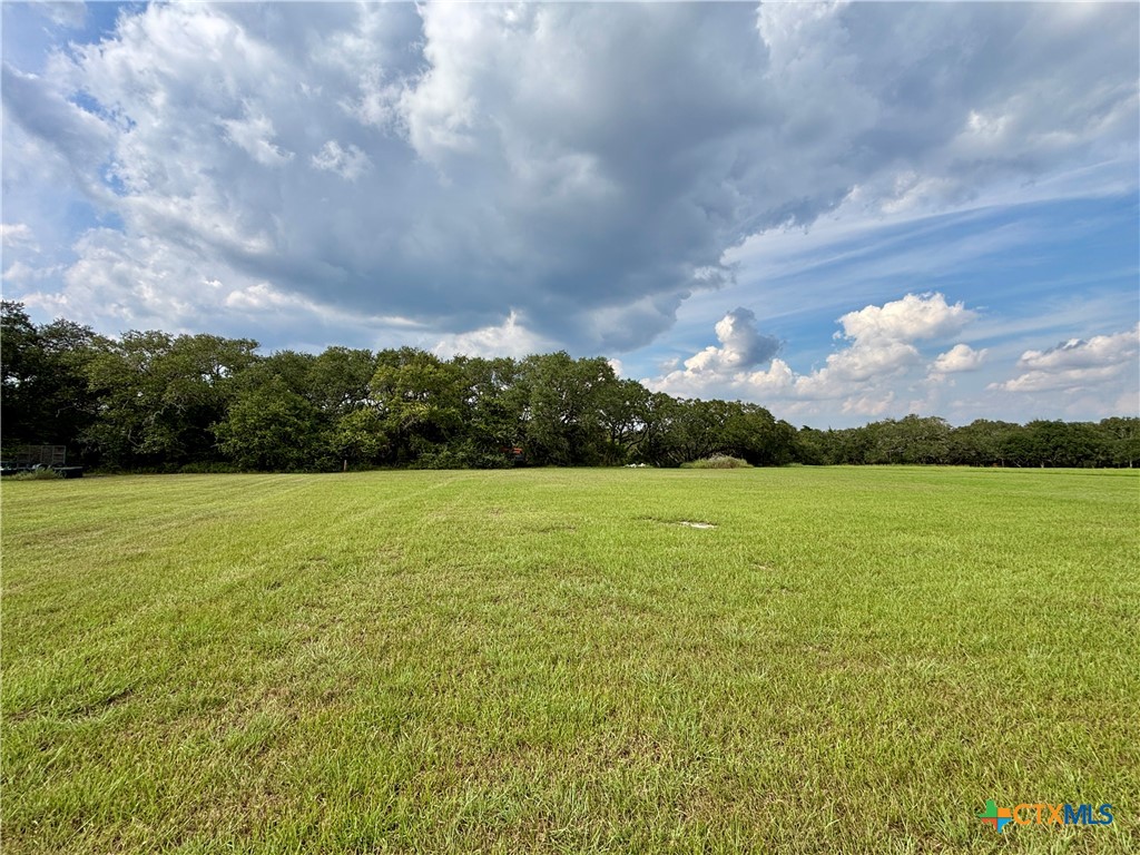 485 County Road 413 Property Photo 5