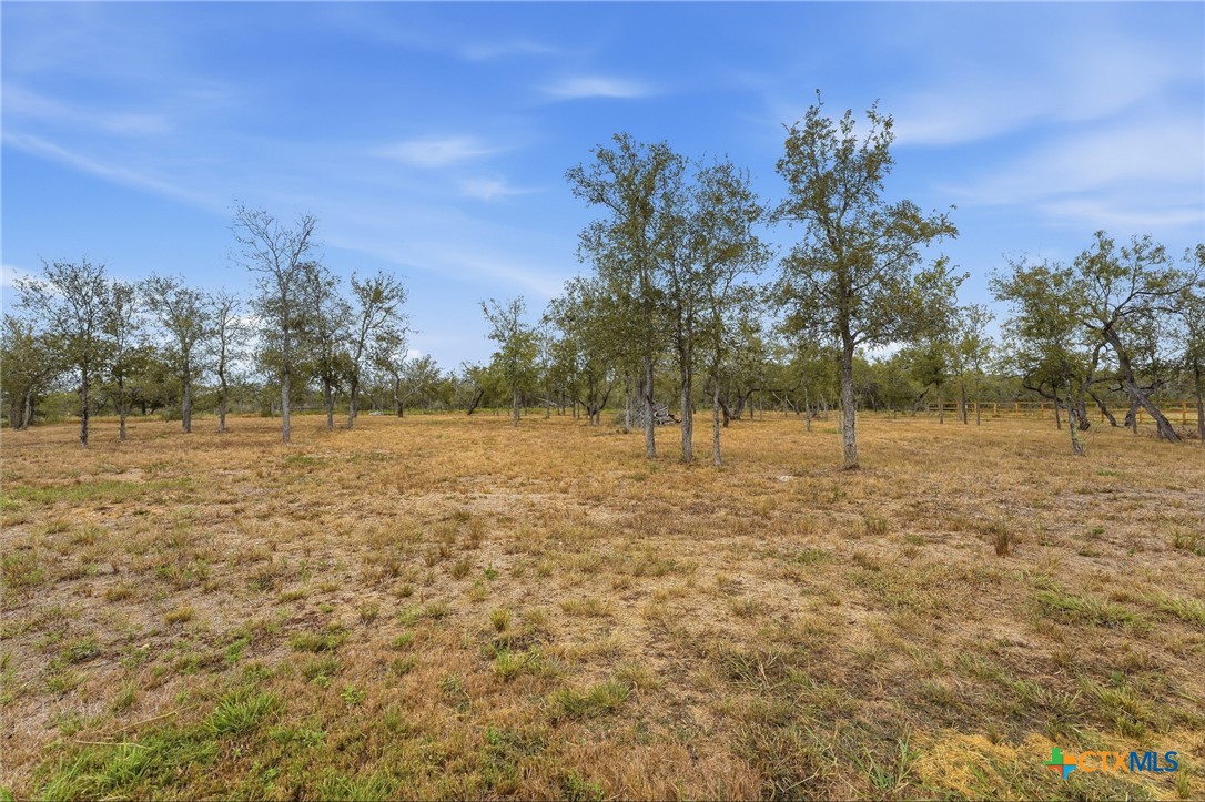485 Post Oak Street Property Photo 33