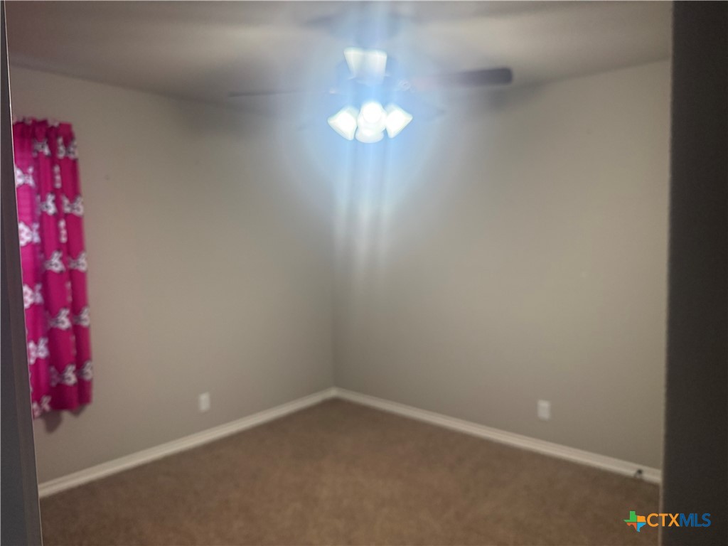 4102 Molly Dyer Drive Property Photo 31
