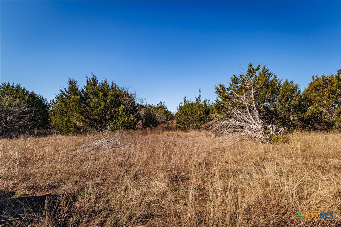 2998 Straws Mill Road Property Photo 17