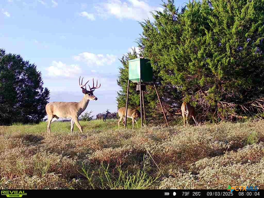 1862 County Road 2600 Property Photo 27