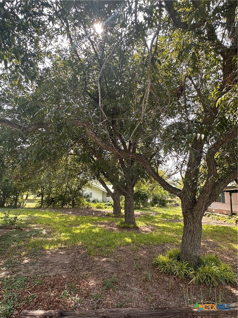 9732 Fm 621 Property Photo 3