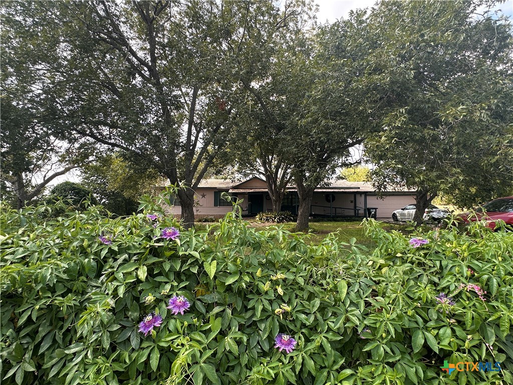 9732 Fm 621 Property Photo 7