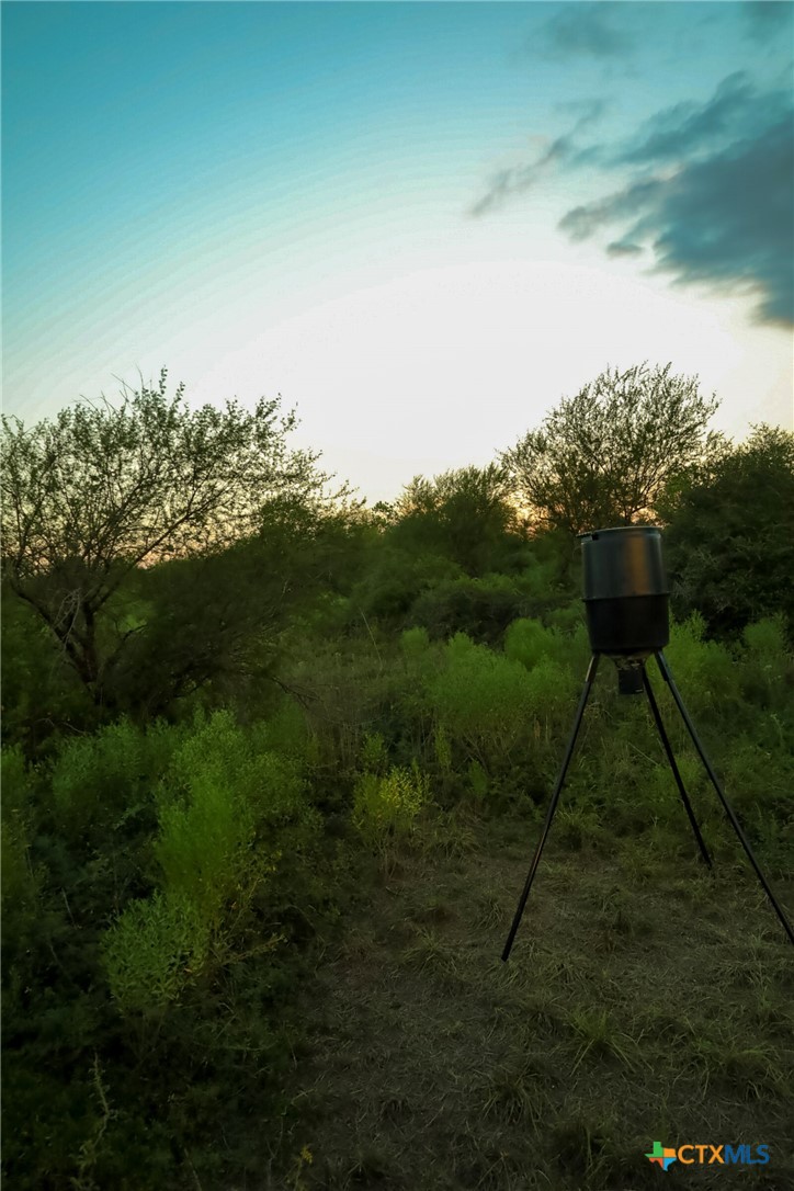 1938 Fm 1686 Property Photo 32