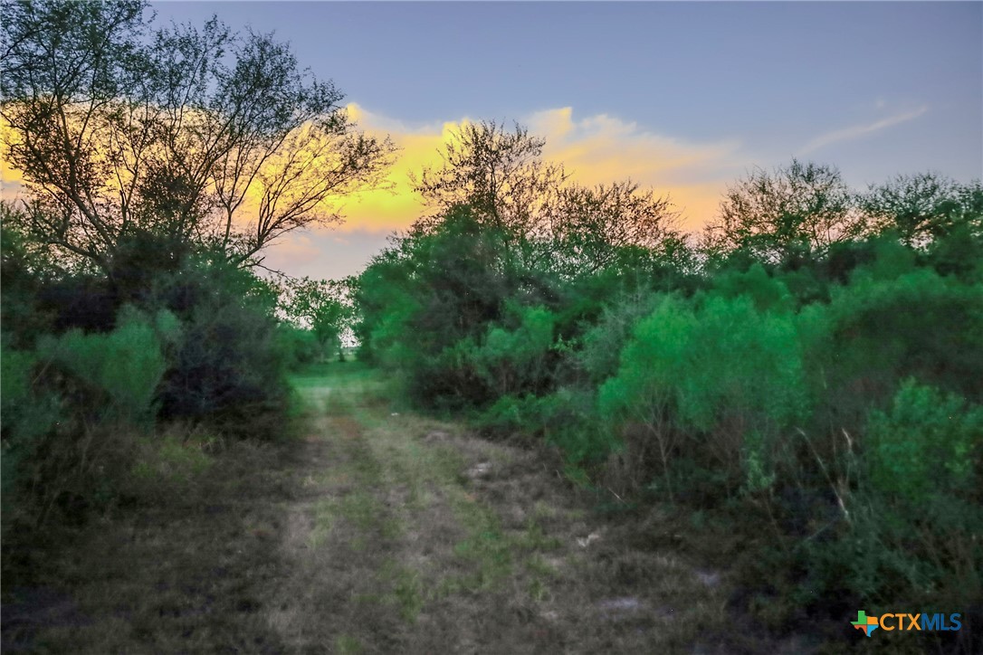 1938 Fm 1686 Property Photo 33
