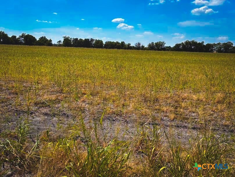 Tbd Cr 3061 Property Photo 1