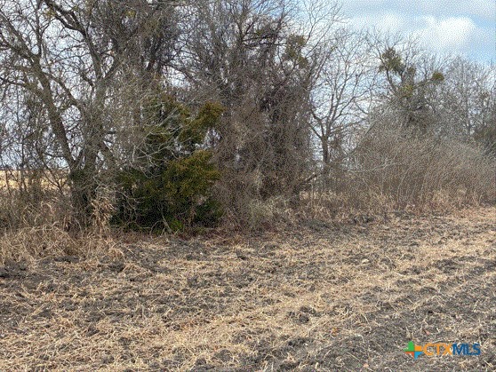 Tbd Cr 3061 Property Photo 5