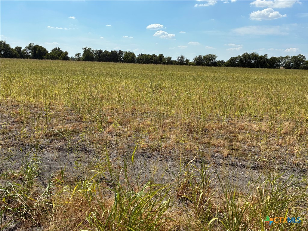 Tbd Cr 3061 Property Photo 8