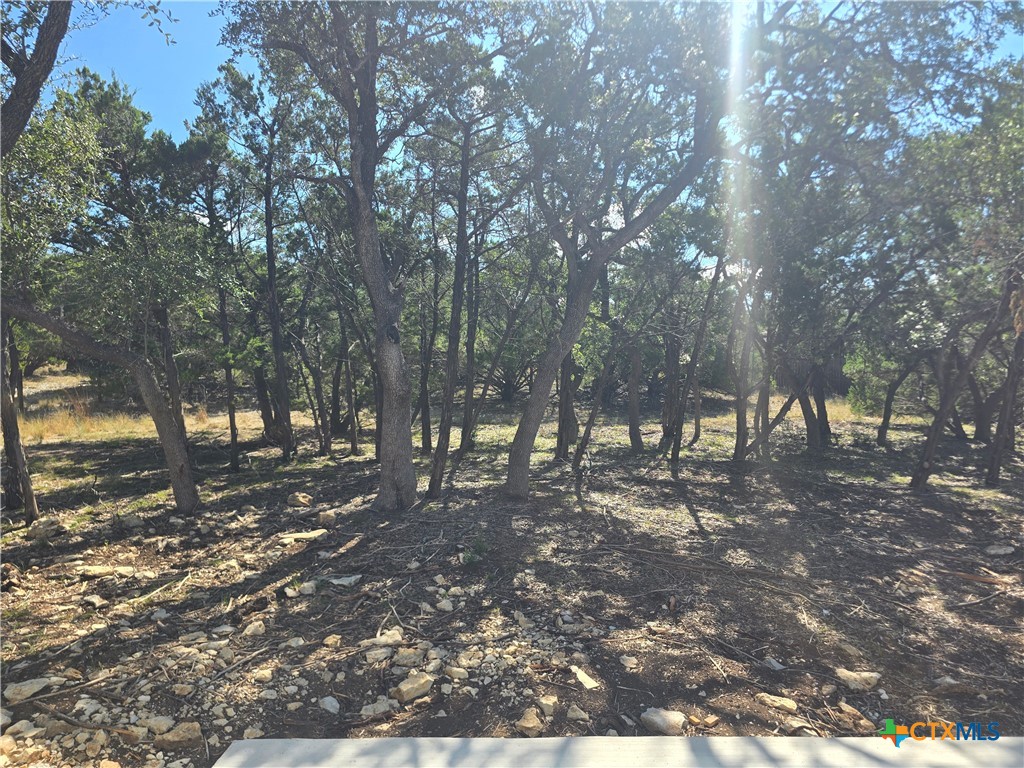1221 Lasso Loop Property Photo 11