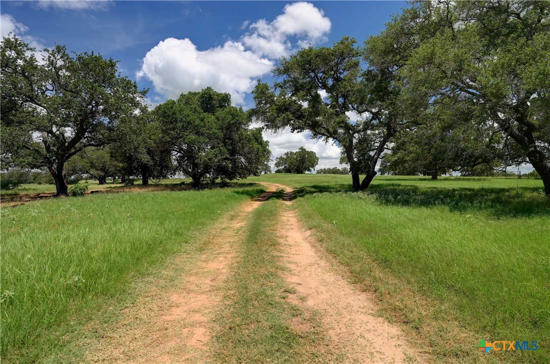 2901 Mule Creek Road Property Photo 1