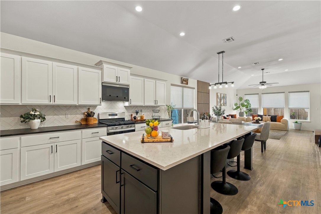 203 Flint Rock Court Property Photo 2