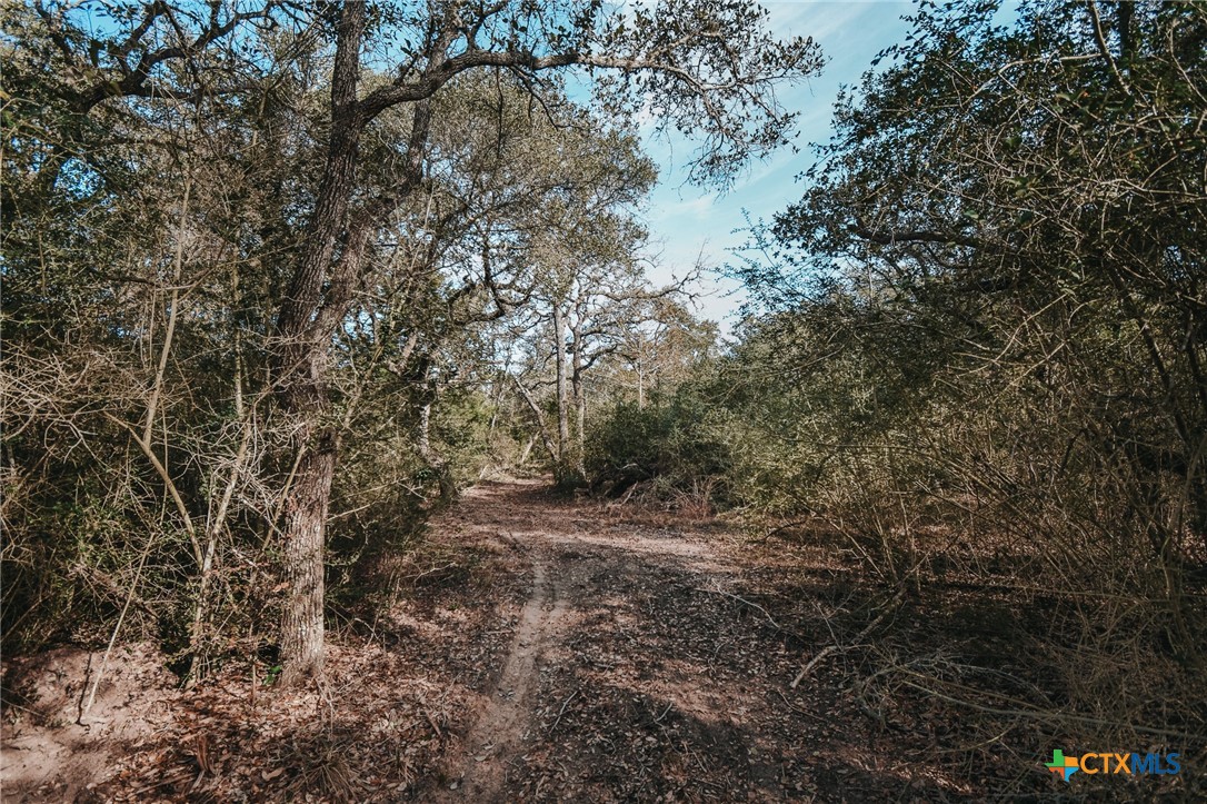Tract E Vitek Lane Property Photo 11