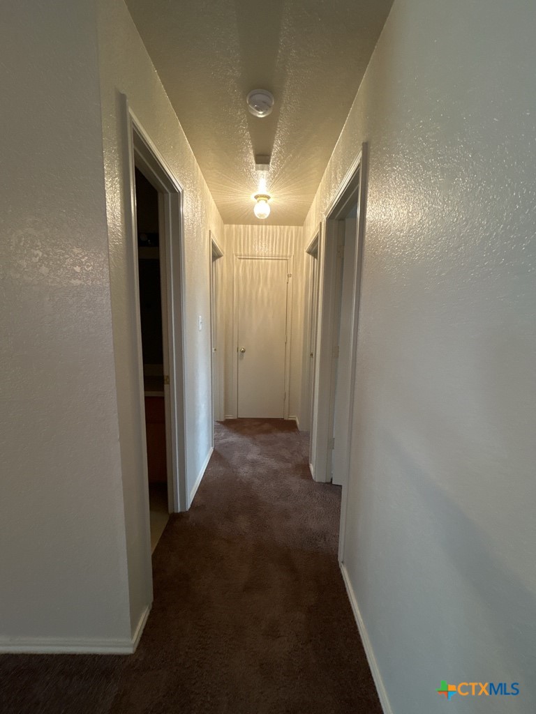 2509 Bigleaf Drive Property Photo 12