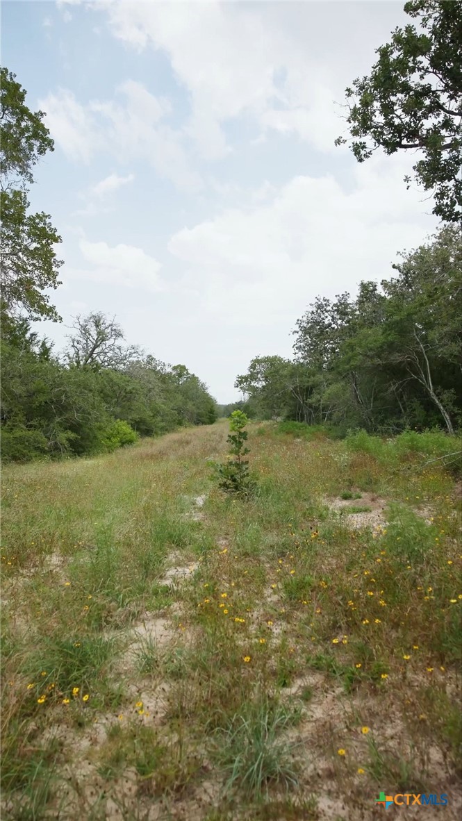 555 Altamira Lane Property Photo 8