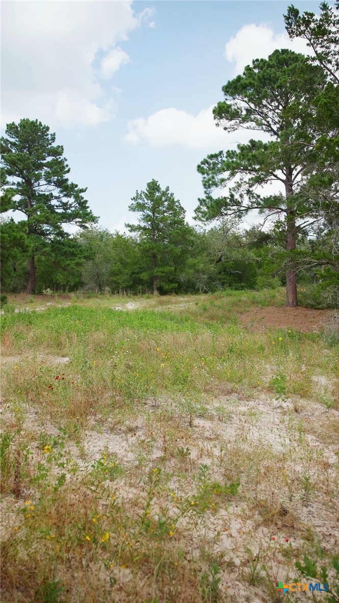 555 Altamira Lane Property Photo 18