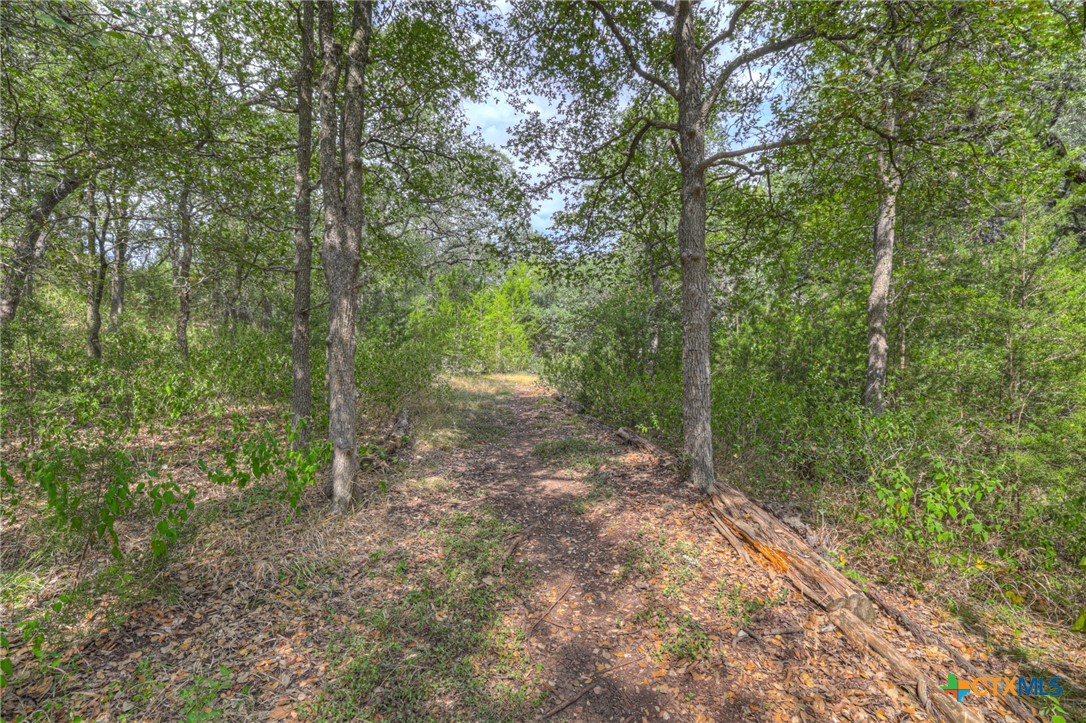 921 Santa Cruz Property Photo 44