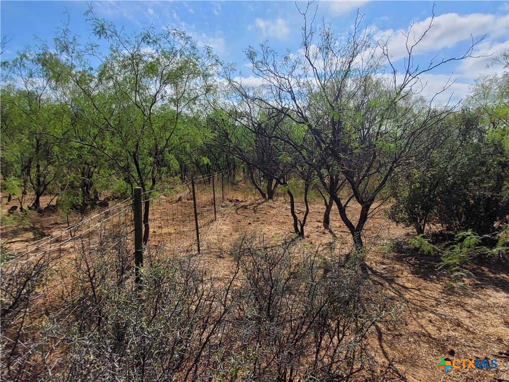 14426 Cr 211 Property Photo 12