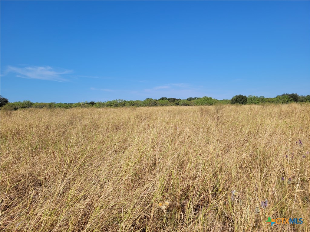14426 Cr 211 Property Photo 15