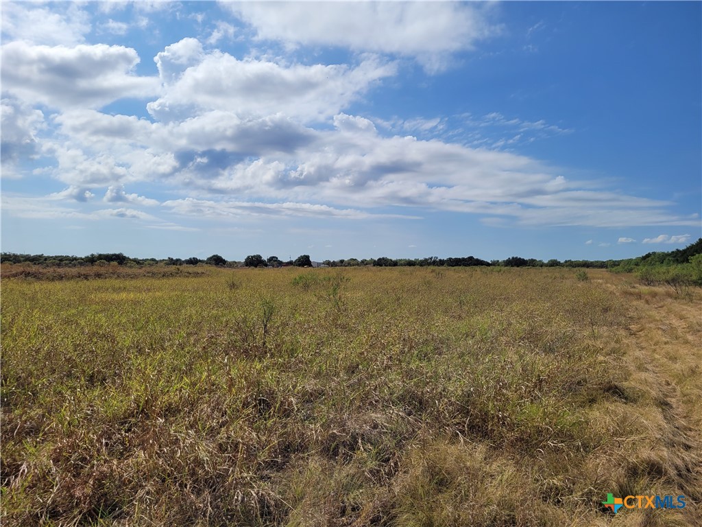 14426 Cr 211 Property Photo 16
