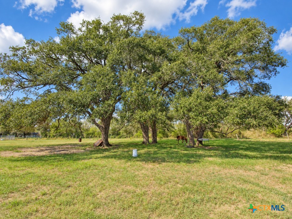 2491 E Fannin Street Property Photo 25