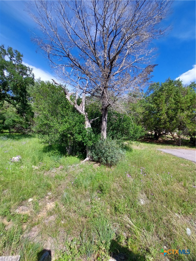 202 18th Street Property Photo 4