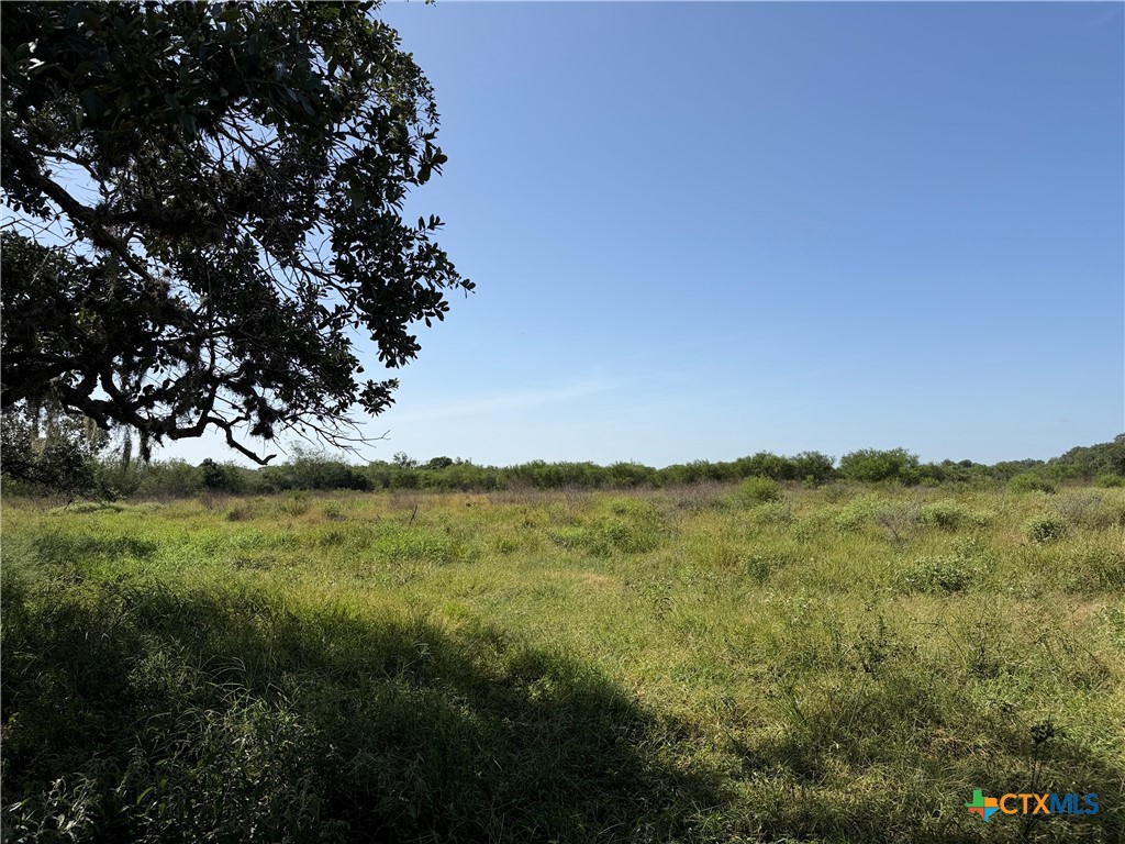 209 Korth Lane Property Photo 11