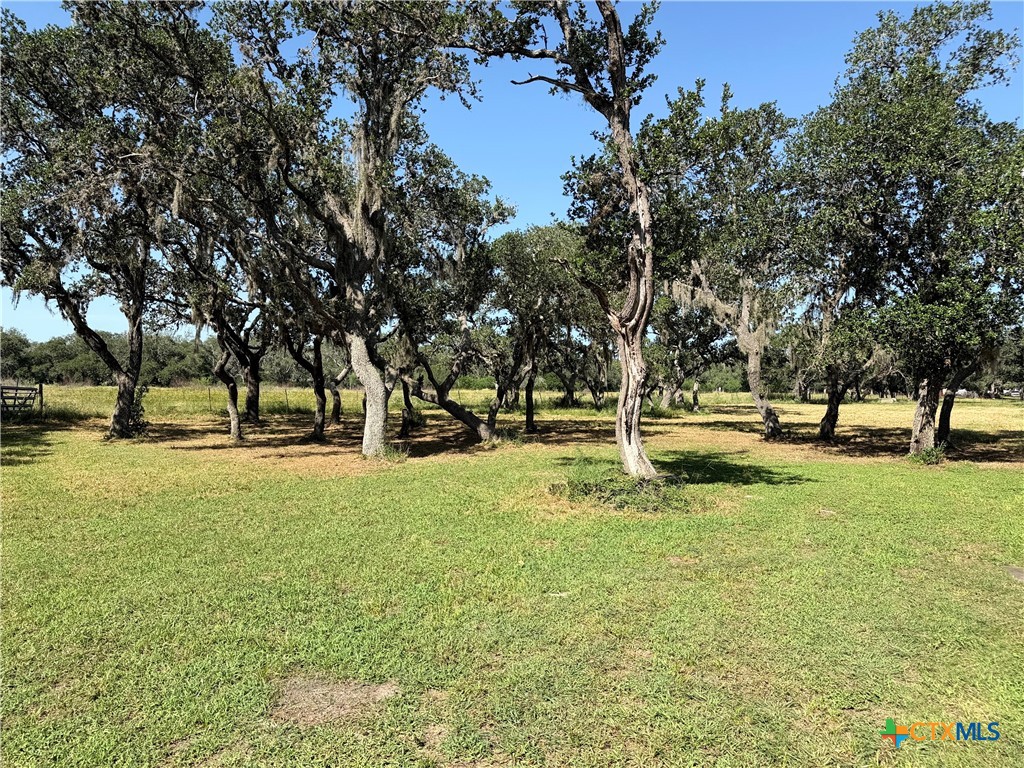 209 Korth Lane Property Photo 19
