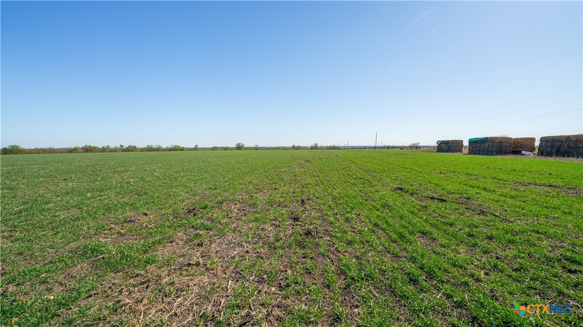 00001a County Road 110 Property Photo 8