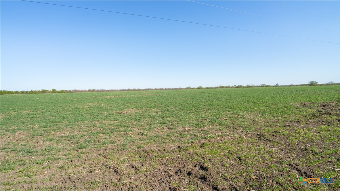 00001a County Road 110 Property Photo 9