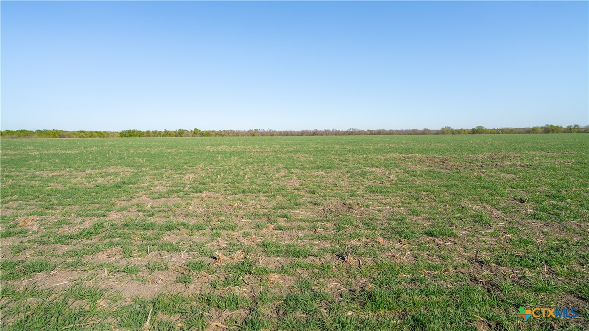 00001a County Road 110 Property Photo 11