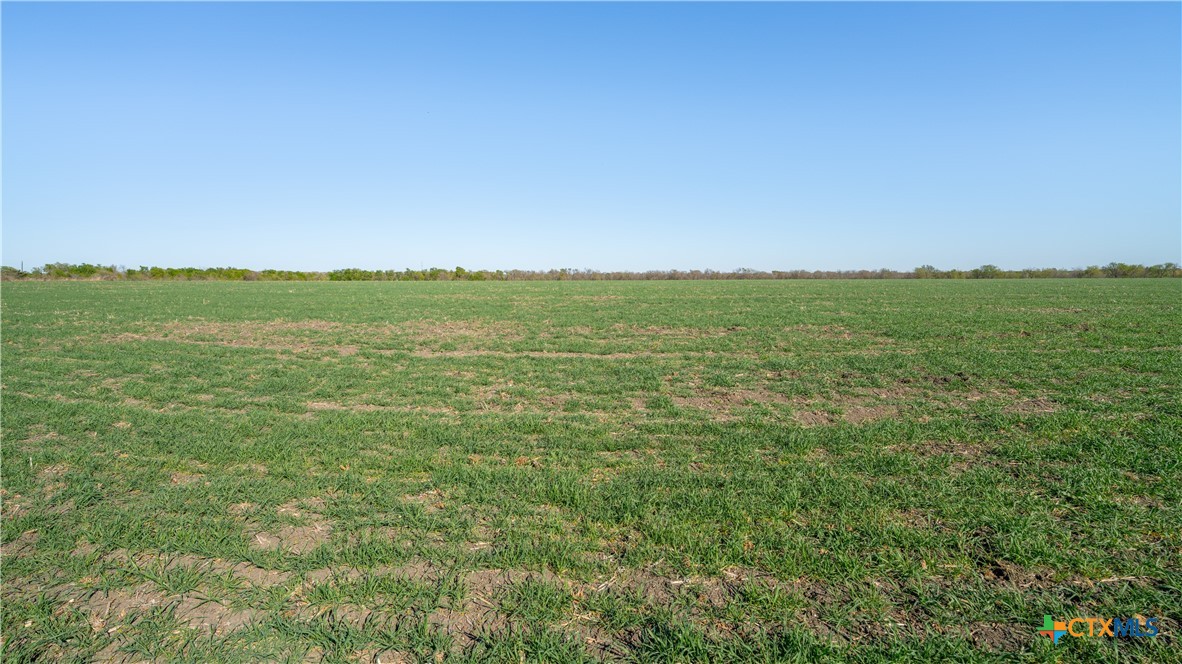 00001a County Road 110 Property Photo 14