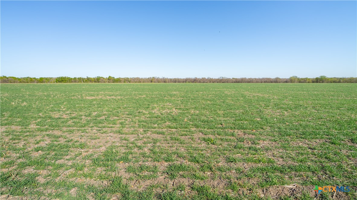 00001a County Road 110 Property Photo 16