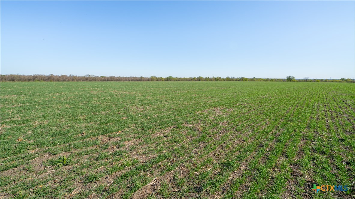 00001a County Road 110 Property Photo 17