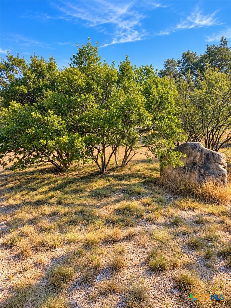 1701 Fox Foot Property Photo 6
