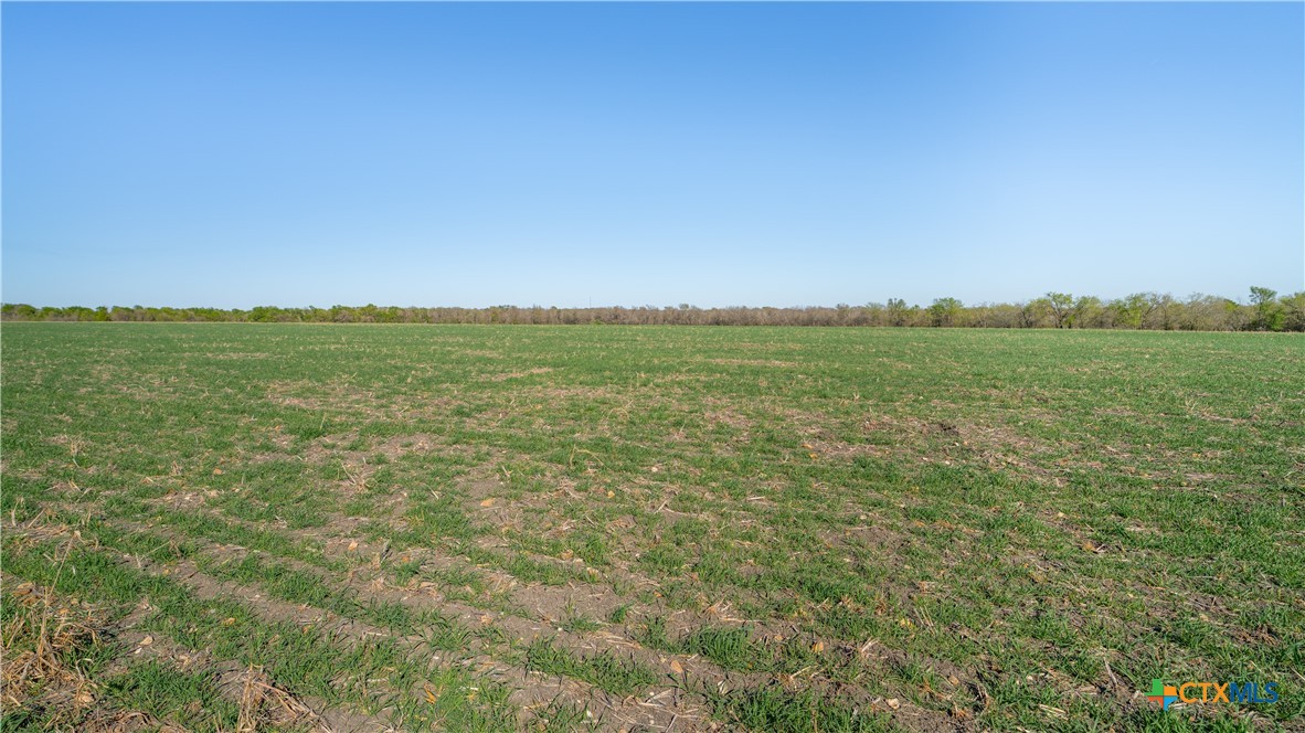 00001b County Road 110 Property Photo 16