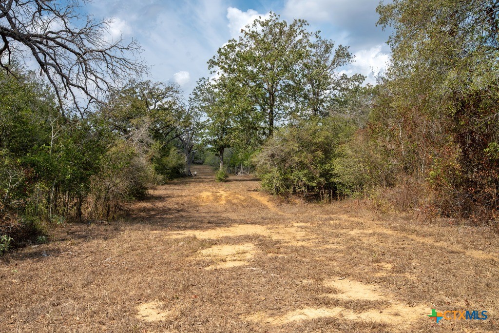 1610 Silver Mine Road Property Photo 27