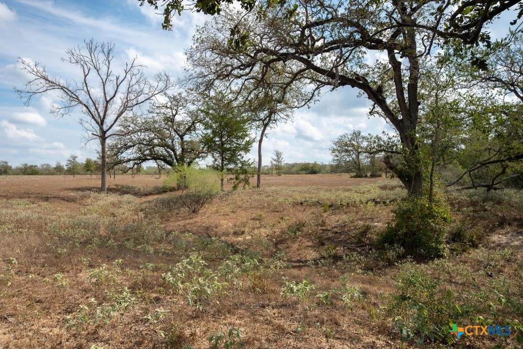 1610 Silver Mine Road Property Photo 28