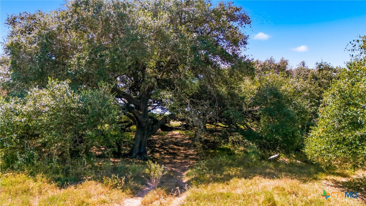 3938 Us Highway 77 Property Photo 4
