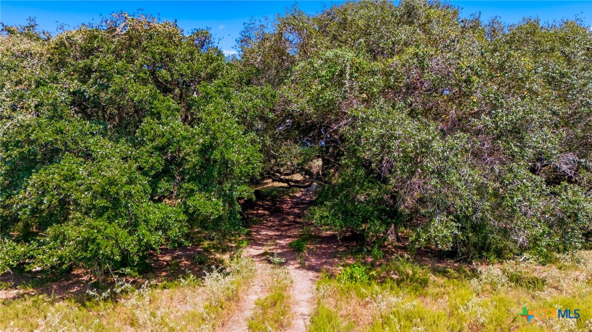 3938 Us Highway 77 Property Photo 7