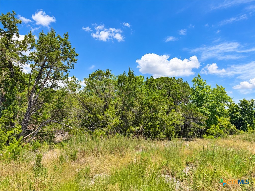 1218 Kenton Parkway Property Photo 4