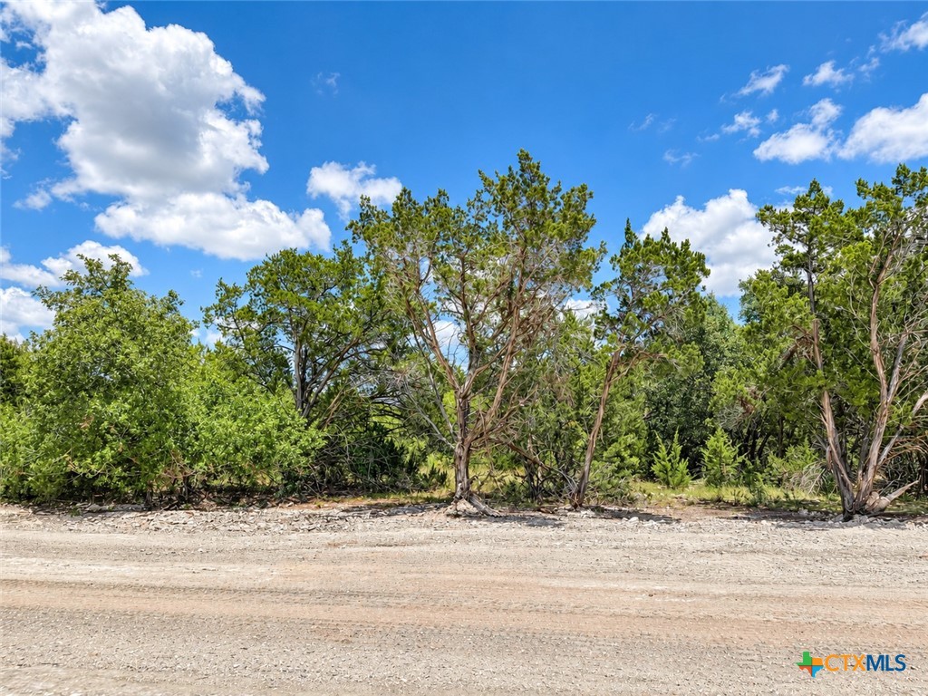 1236 Kenton Parkway Property Photo 4