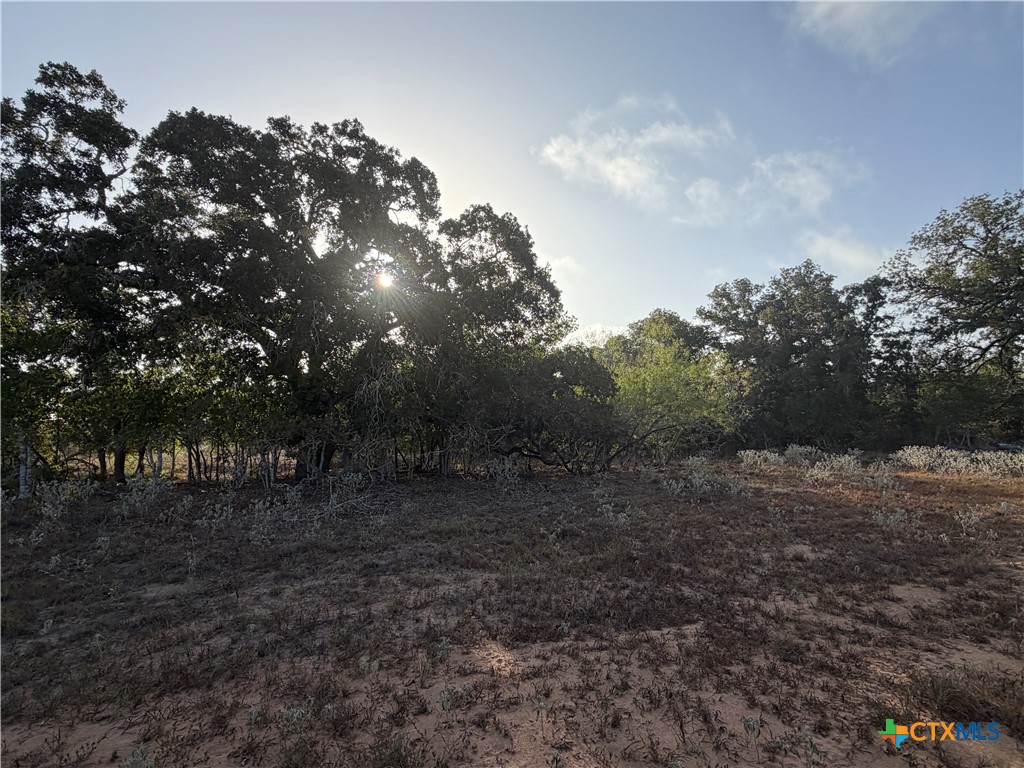 3841 County Road 427 Property Photo 8