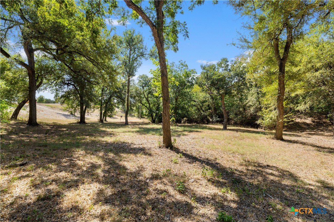 3090 Texas 236 Hwy Property Photo 21