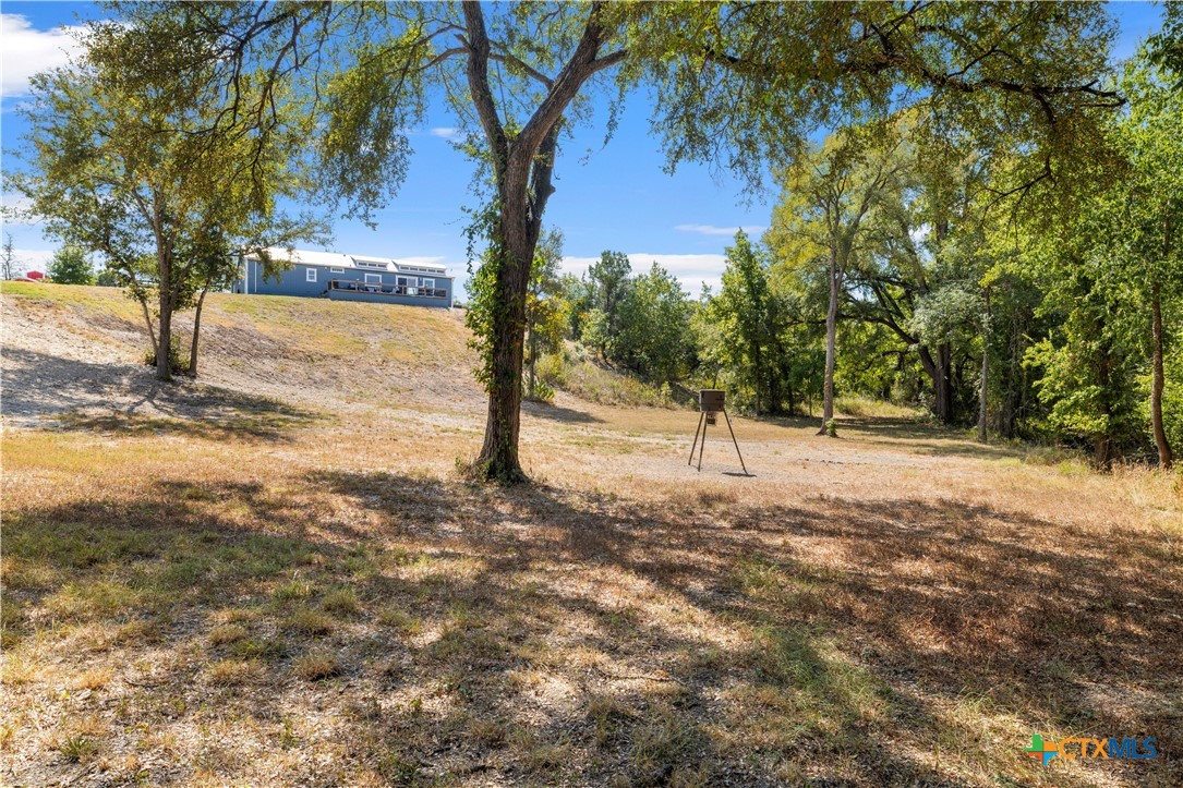 3090 Texas 236 Hwy Property Photo 22