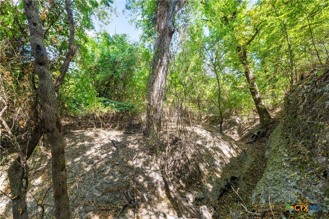 3090 Texas 236 Hwy Property Photo 24