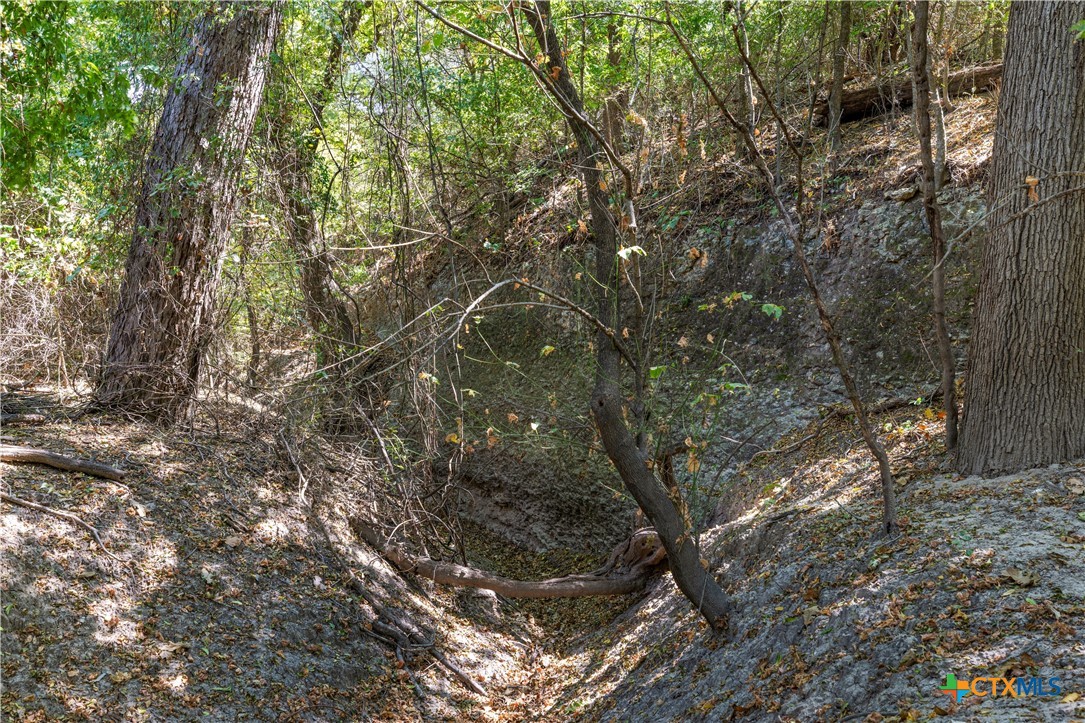 3090 Texas 236 Hwy Property Photo 25