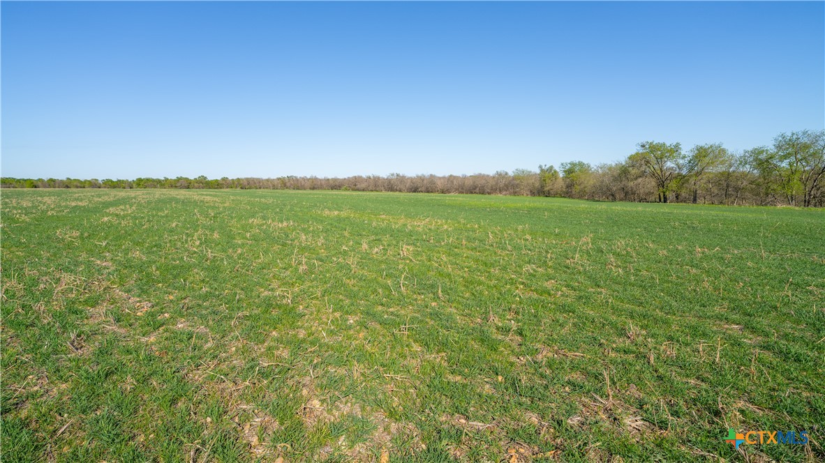 00001c County Road 110 Property Photo 4