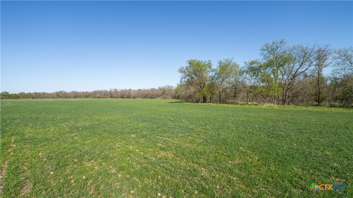 00001c County Road 110 Property Photo 6